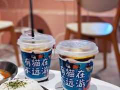 -猫儿山۰猫主题餐厅