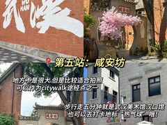 -武汉知音号