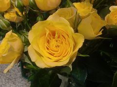 -BOBLOOM花店(宝龙旭辉广场店)
