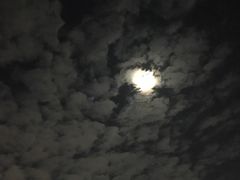 -翠华餐厅(山顶道店)