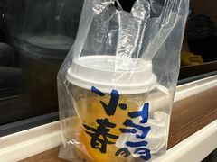 -春丽小马(济南恒隆广场店)