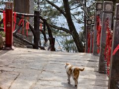 -终南山南五台景区