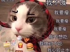 -1点点(望京SOHO店)