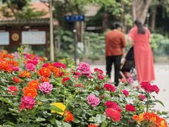 -新南门(地铁站)