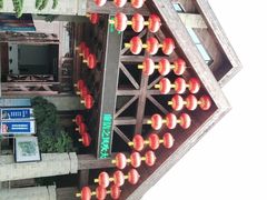 -铁山坪森林公园