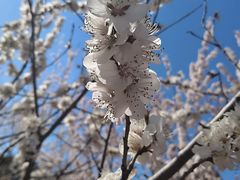 -白水寺森林公园