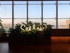 -Seesaw Coffee(朝阳大悦城店)