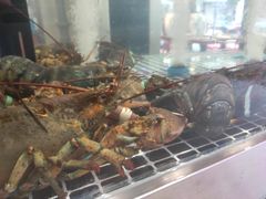 -喜来酌海鲜·饺子(和平一店)