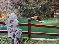 -十八棵（老龙井）御茶园(老龙井店)