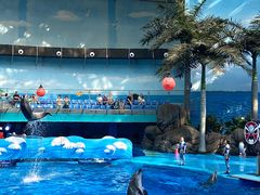 -海合安成都极地海洋公园