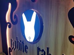 -白兔子密室(长寿路店)