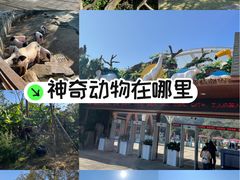 -宁波野生动物园