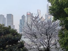 -北外滩滨江绿地