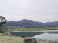 -径山花海