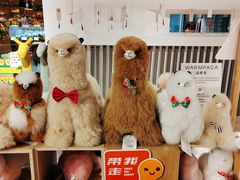 -G·SPACE(金鹰世界店)