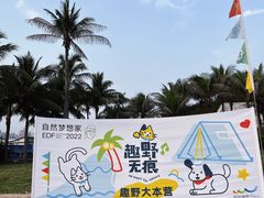 -欢乐海岸椰林沙滩-2025湾区超级灯会