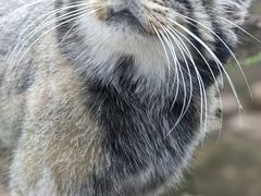 -青藏高原野生动物园