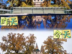-北京石刻艺术博物馆