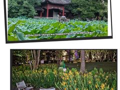 -和平公园