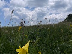 -白草畔自然风景区