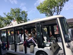 -上海野生动物园老虎餐厅