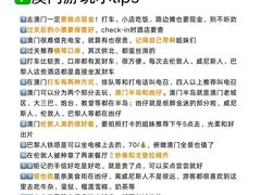 -澳门威尼斯人综合度假区