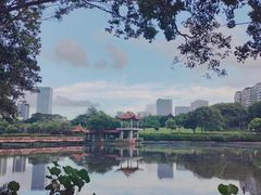 -深圳龙潭公园