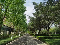 -大渡口区义渡公园