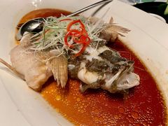 -御花园酒店(希尔顿店)