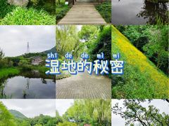-西湖风景区-江洋畈生态公园