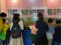 -上海昆虫博物馆