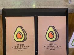 -油梨树AVOCADO TREE(嘉里中心店)