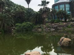 -圣爵菲斯大酒店(长沙世界之窗店)