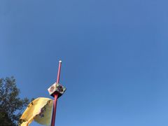 -胡里山炮台
