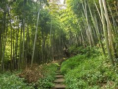 -莫干山风景区