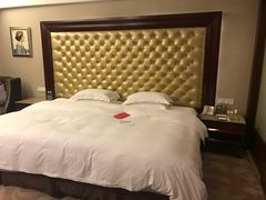 -圣爵菲斯大酒店(长沙世界之窗店)