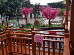 -麦园农庄·西江河鲜