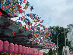 -新加坡佛牙寺龙华院