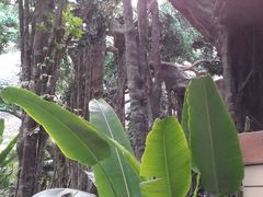 android_upload_pic-龙达温泉生态城