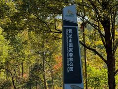 -青龙山国家森林公园