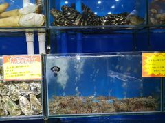 水产区-蚝专家(北滘店)