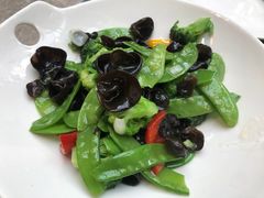 -大树餐厅(红旗街万达店)