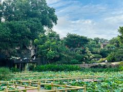 -广州莲花山旅游区
