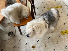 -大小咖啡 BigSmallCoffee(麦子店)