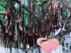 -胡里山炮台