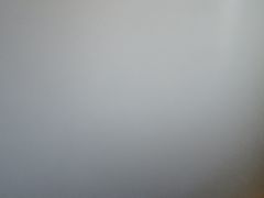 -巢爷老味(东方红店)