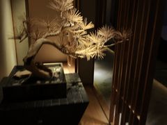 -浅深(北京北四环精品店)