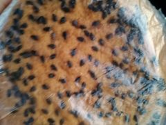 -唐糕祖(商业步行街店)