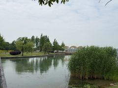 -无锡蠡湖国家湿地公园-蠡园