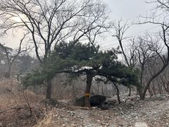 -阳台山自然风景区